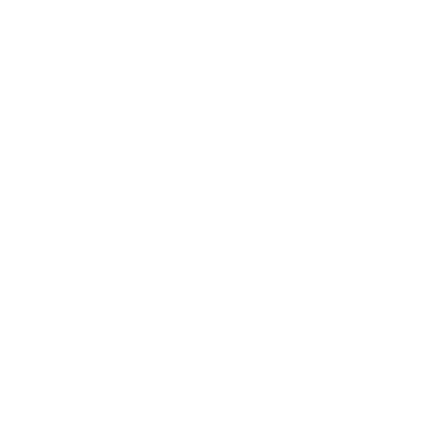 EHIS School logo
